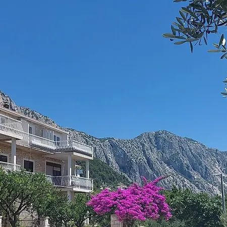 Oliva Apartment